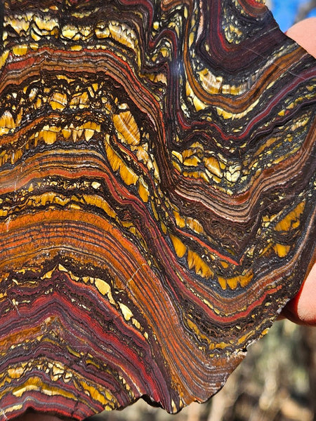 Polished Tiger Iron slab TI409