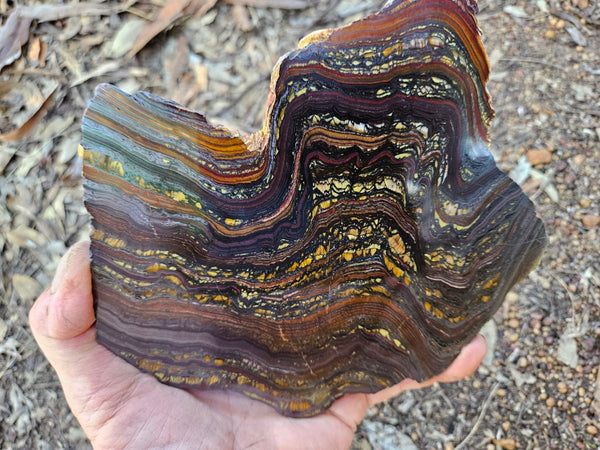 Polished Tiger Iron slab TI409