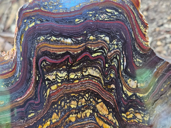 Polished Tiger Iron slab TI409