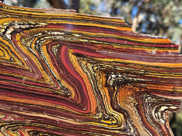 Polished Tiger Iron slab TI410