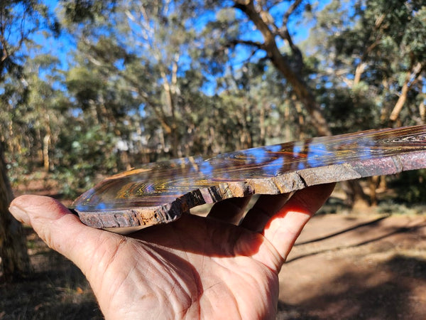 Polished Tiger Iron slab TI410