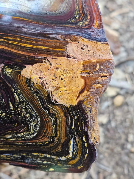 Polished Tiger Iron slab TI410