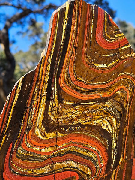 Polished Tiger Iron slab TI413
