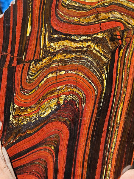 Polished Tiger Iron slab TI413
