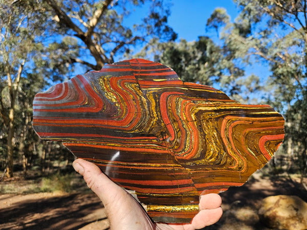 Polished Tiger Iron slab TI413