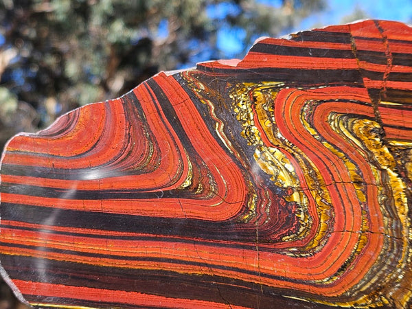 Polished Tiger Iron slab TI413