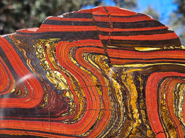 Polished Tiger Iron slab TI413