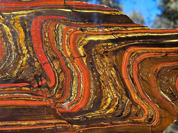 Polished Tiger Iron slab TI413