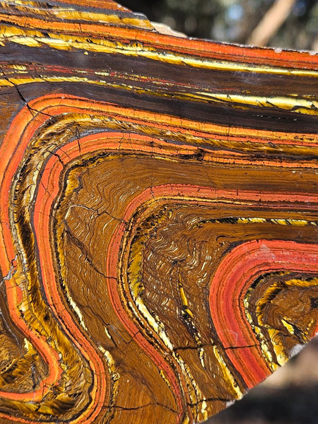 Polished Tiger Iron slab TI413