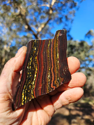 Polished Tiger Iron slab TI411