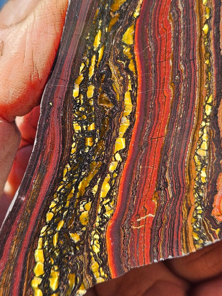Polished Tiger Iron slab TI411