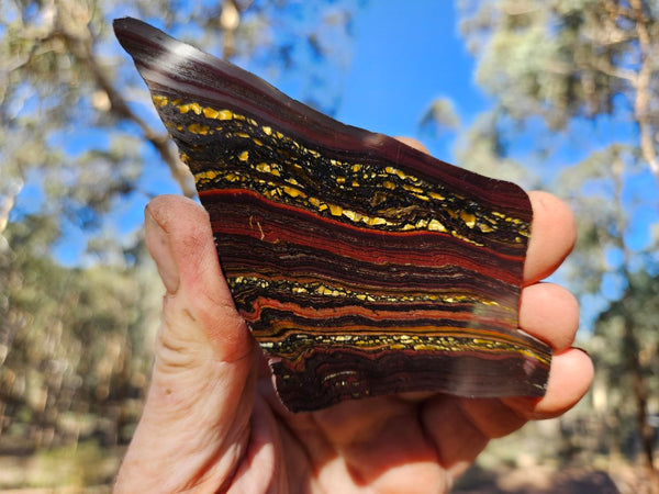 Polished Tiger Iron slab TI411