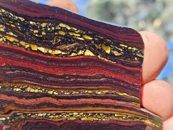 Polished Tiger Iron slab TI411