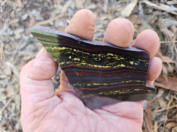 Polished Tiger Iron slab TI411
