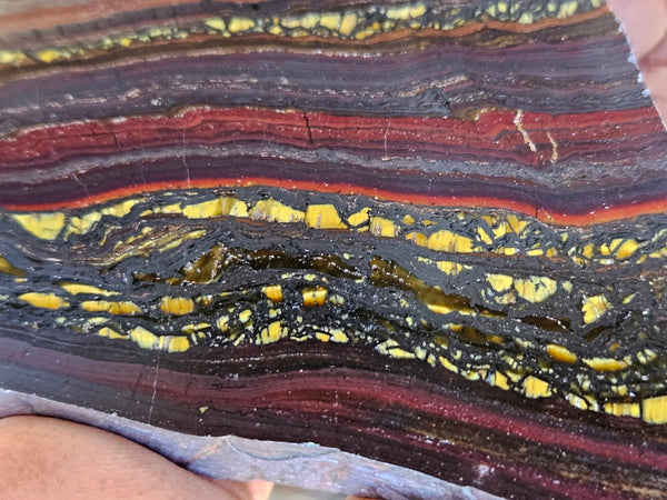 Polished Tiger Iron slab TI411