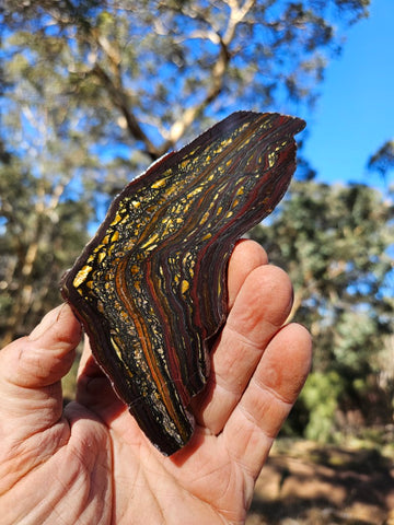 Polished Tiger Iron slab TI412