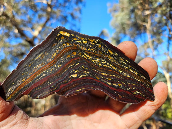 Polished Tiger Iron slab TI412
