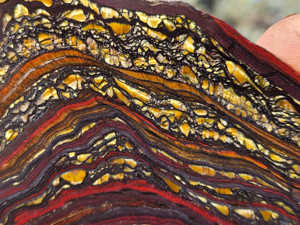 Polished Tiger Iron slab TI412