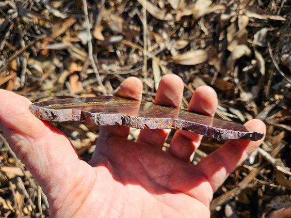 Polished Tiger Iron slab TI412