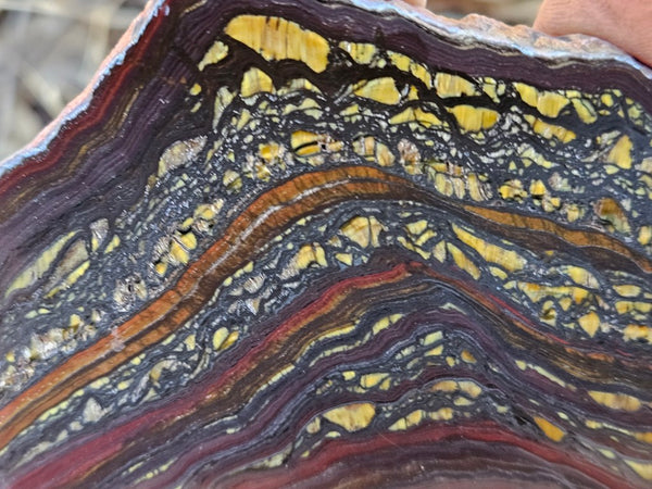 Polished Tiger Iron slab TI412