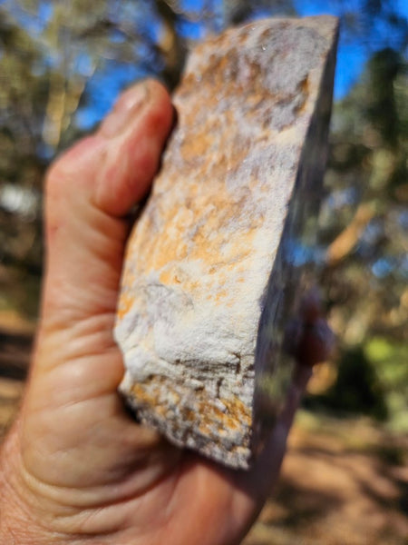 Lepidolite display specimen RB246