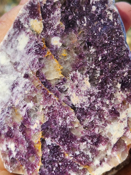 Lepidolite display specimen RB246