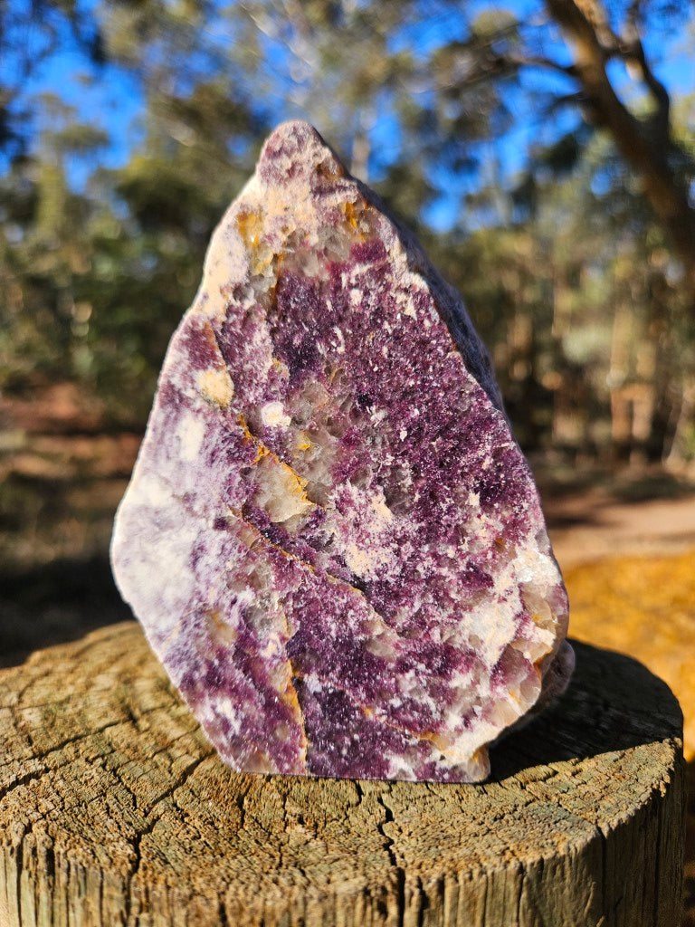 Lepidolite display specimen RB246