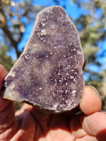 Polished Lepidolite LEP214