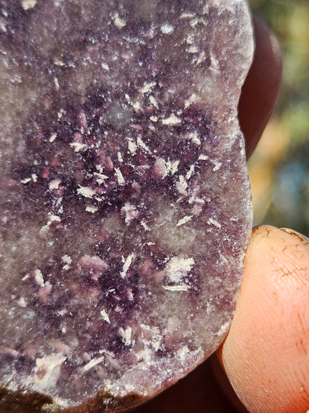 Polished Lepidolite LEP214