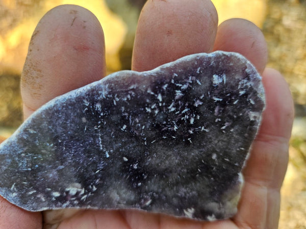 Polished Lepidolite LEP214