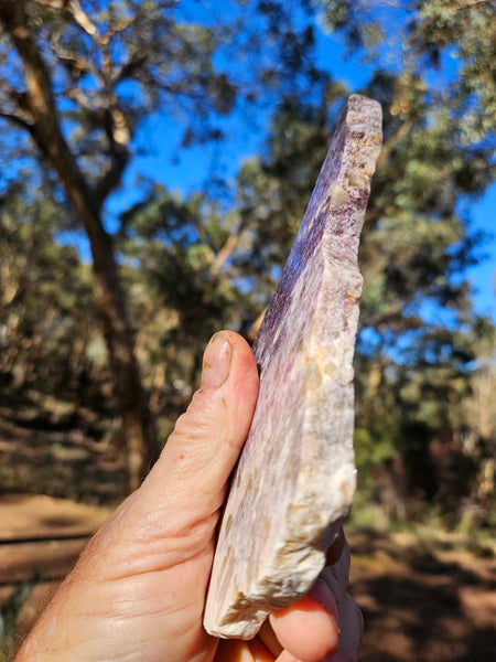 Polished Lepidolite LEP210
