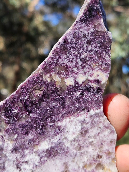 Polished Lepidolite LEP210