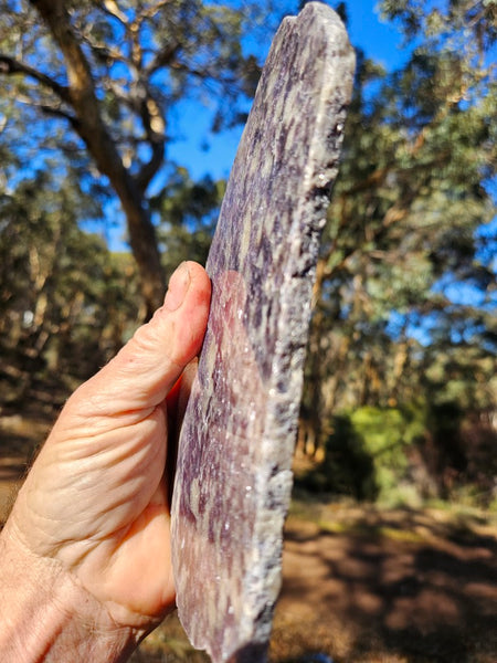 Polished Lepidolite LEP218