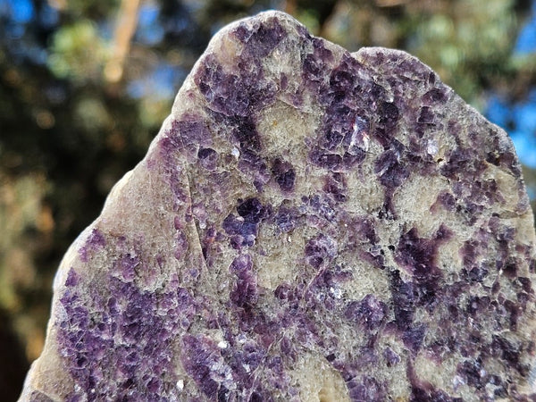 Polished Lepidolite LEP218