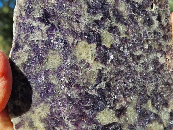 Polished Lepidolite LEP218