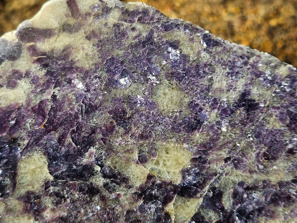 Polished Lepidolite LEP218