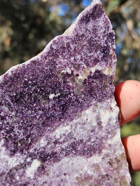 Polished Lepidolite LEP212