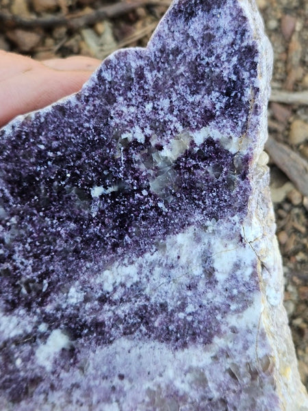 Polished Lepidolite LEP212