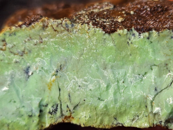 Lime magnesite rough.  LMR 133