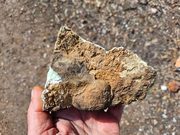Lime magnesite rough.  LMR 134