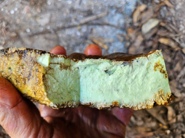 Lime magnesite rough.  LMR 134