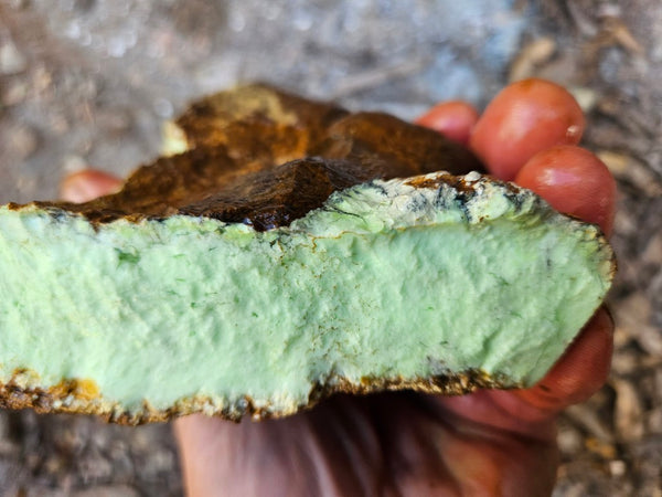 Lime magnesite rough.  LMR 134