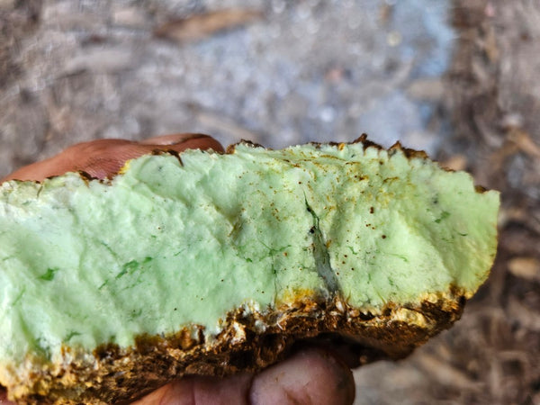 Lime magnesite rough.  LMR 135