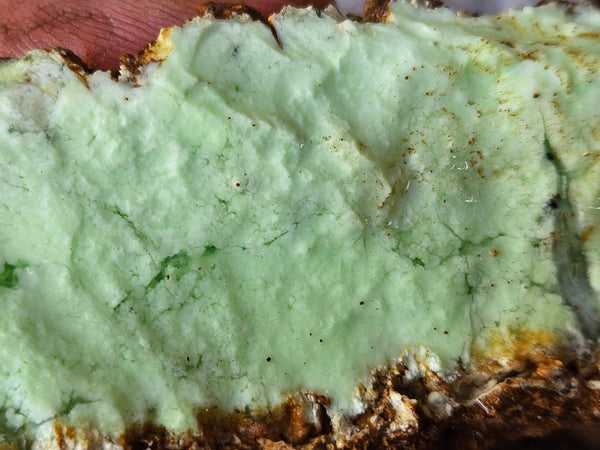 Lime magnesite rough.  LMR 135