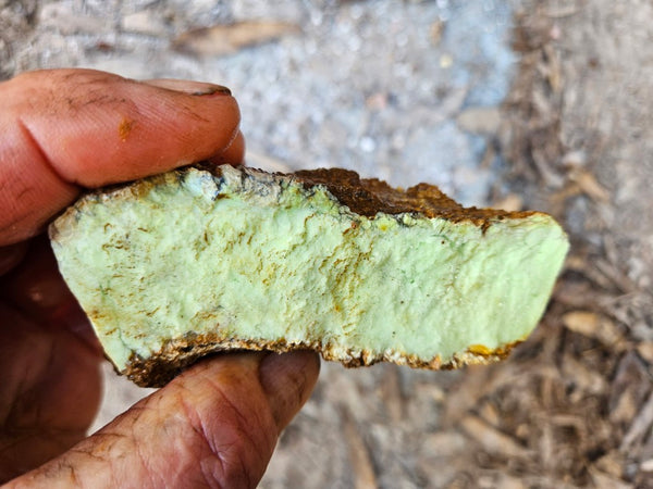 Lime magnesite rough.  LMR 135