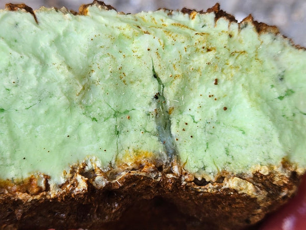 Lime magnesite rough.  LMR 135