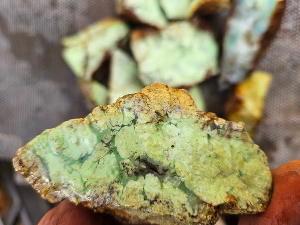 Lime magnesite rough.  LMR 136