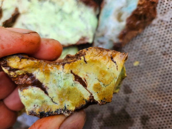 Lime magnesite rough.  LMR 136