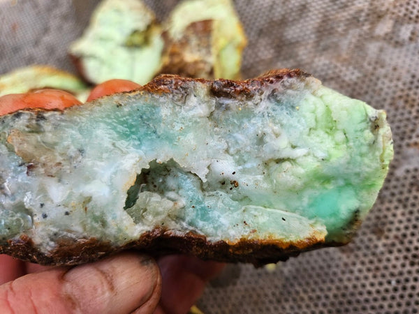 Lime magnesite rough.  LMR 136
