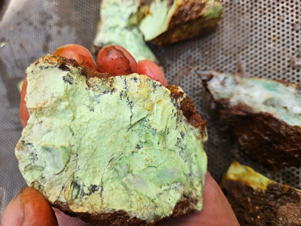 Lime magnesite rough.  LMR 136
